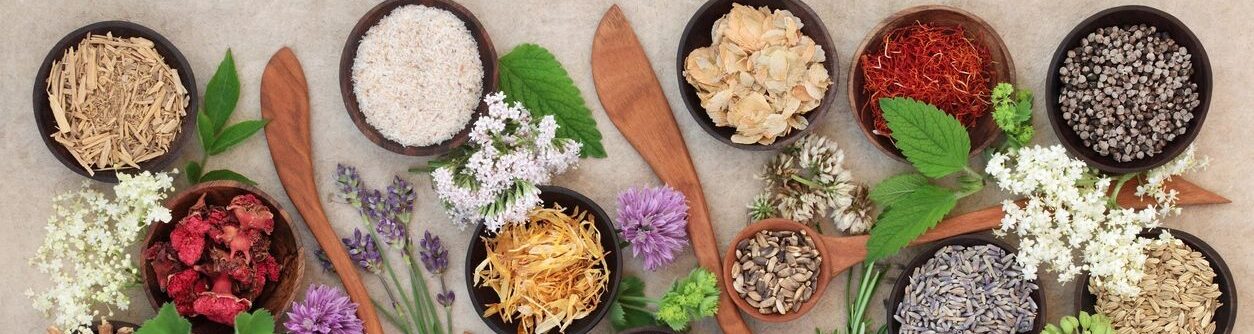 Boosting Immunity Naturally                     The Power of Herbs
